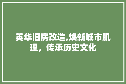 英华旧房改造,焕新城市肌理，传承历史文化