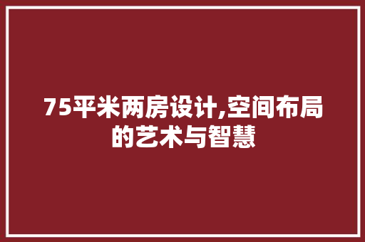 75平米两房设计,空间布局的艺术与智慧