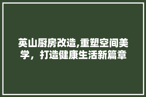 英山厨房改造,重塑空间美学，打造健康生活新篇章