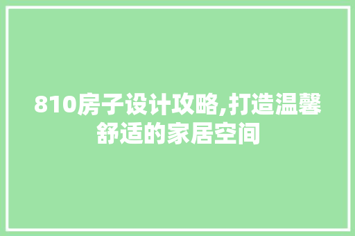 810房子设计攻略,打造温馨舒适的家居空间