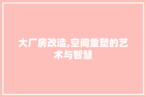 大厂房改造,空间重塑的艺术与智慧