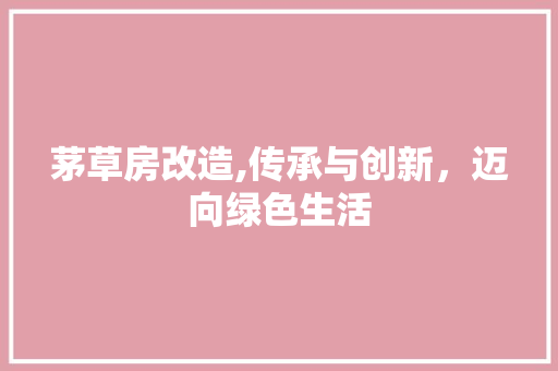 茅草房改造,传承与创新，迈向绿色生活