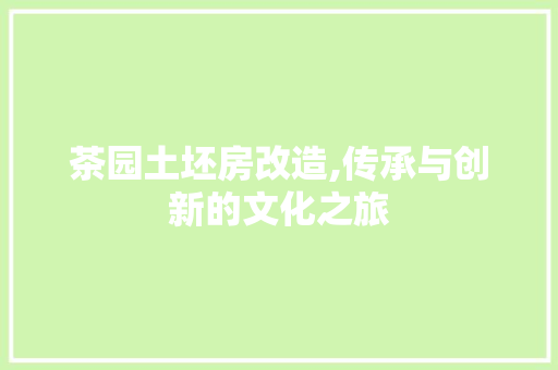 茶园土坯房改造,传承与创新的文化之旅