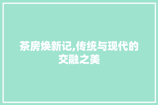 茶房焕新记,传统与现代的交融之美