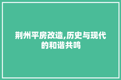 荆州平房改造,历史与现代的和谐共鸣