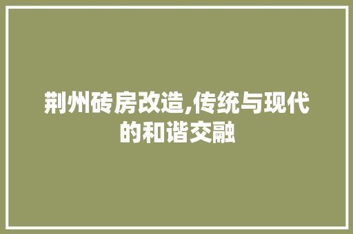 荆州砖房改造,传统与现代的和谐交融