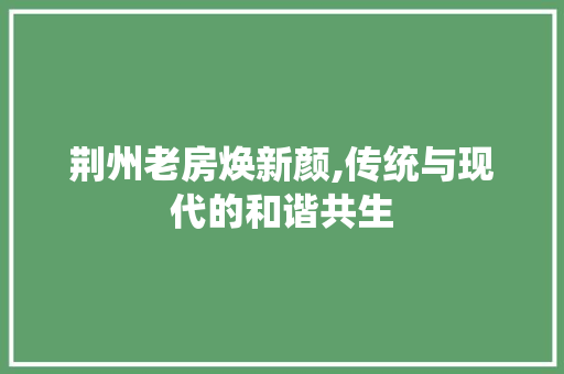 荆州老房焕新颜,传统与现代的和谐共生