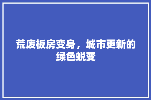 荒废板房变身，城市更新的绿色蜕变