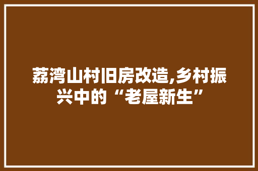 荔湾山村旧房改造,乡村振兴中的“老屋新生”