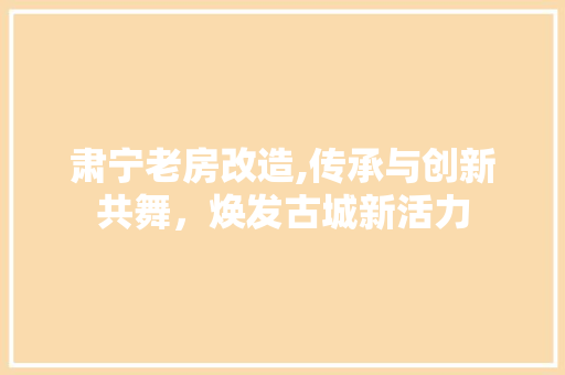 肃宁老房改造,传承与创新共舞，焕发古城新活力