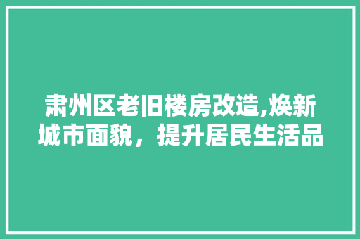 肃州区老旧楼房改造,焕新城市面貌，提升居民生活品质