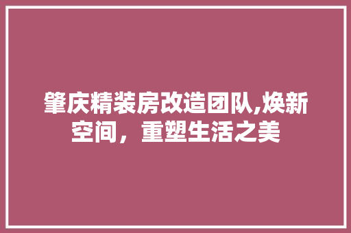 肇庆精装房改造团队,焕新空间，重塑生活之美