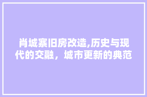 肖城寨旧房改造,历史与现代的交融，城市更新的典范