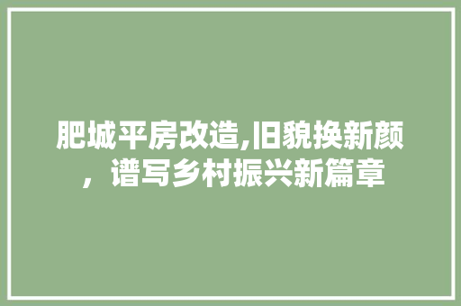 肥城平房改造,旧貌换新颜，谱写乡村振兴新篇章
