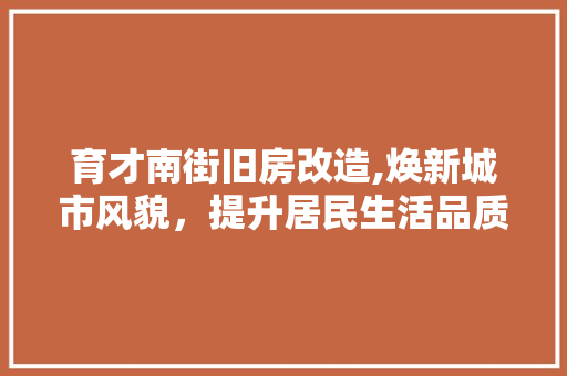 育才南街旧房改造,焕新城市风貌，提升居民生活品质