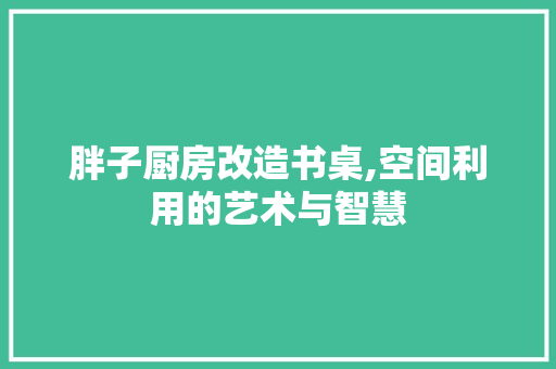 胖子厨房改造书桌,空间利用的艺术与智慧