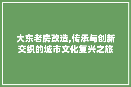 大东老房改造,传承与创新交织的城市文化复兴之旅