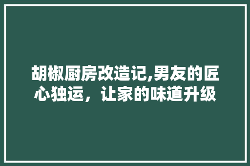 胡椒厨房改造记,男友的匠心独运，让家的味道升级