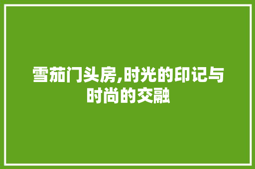 雪茄门头房,时光的印记与时尚的交融