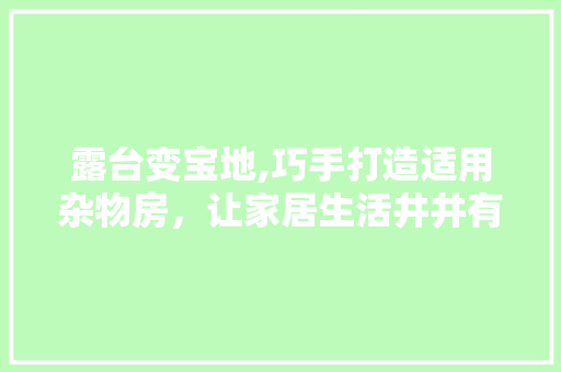 露台变宝地,巧手打造适用杂物房，让家居生活井井有条