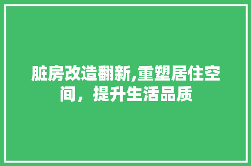 脏房改造翻新,重塑居住空间，提升生活品质
