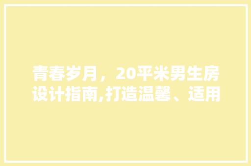 青春岁月，20平米男生房设计指南,打造温馨、适用的成长空间