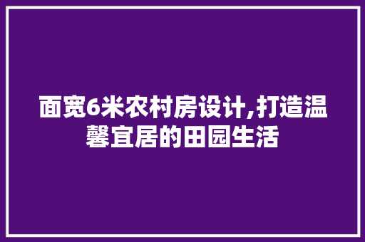 面宽6米农村房设计,打造温馨宜居的田园生活