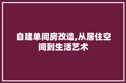自建单间房改造,从居住空间到生活艺术