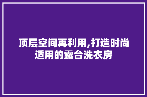 顶层空间再利用,打造时尚适用的露台洗衣房