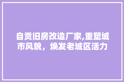 自贡旧房改造厂家,重塑城市风貌，焕发老城区活力
