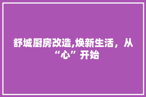 舒城厨房改造,焕新生活，从“心”开始