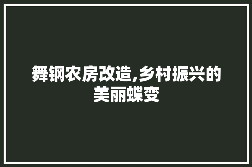舞钢农房改造,乡村振兴的美丽蝶变
