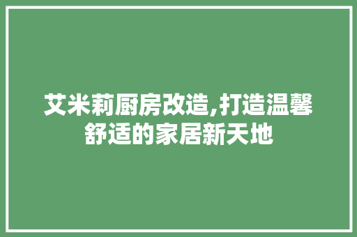艾米莉厨房改造,打造温馨舒适的家居新天地