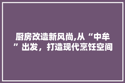 厨房改造新风尚,从“中牟”出发，打造现代烹饪空间