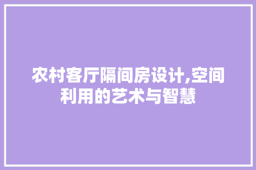 农村客厅隔间房设计,空间利用的艺术与智慧