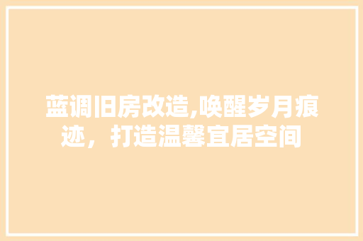 蓝调旧房改造,唤醒岁月痕迹，打造温馨宜居空间