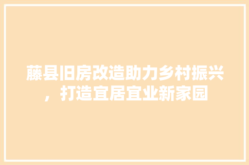 藤县旧房改造助力乡村振兴，打造宜居宜业新家园