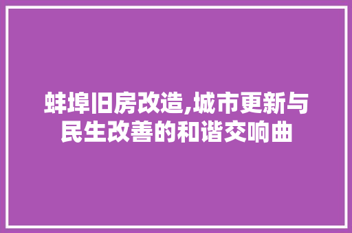 蚌埠旧房改造,城市更新与民生改善的和谐交响曲