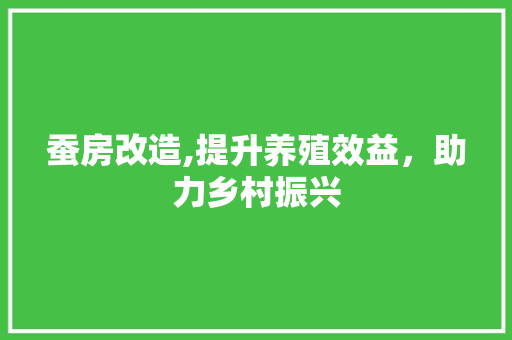蚕房改造,提升养殖效益，助力乡村振兴