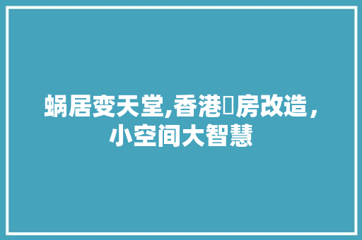 蜗居变天堂,香港劏房改造，小空间大智慧