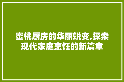 蜜桃厨房的华丽蜕变,探索现代家庭烹饪的新篇章