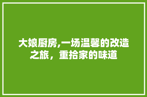 大娘厨房,一场温馨的改造之旅，重拾家的味道