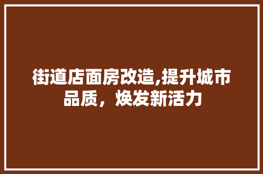 街道店面房改造,提升城市品质，焕发新活力
