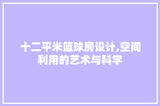 十二平米篮球房设计,空间利用的艺术与科学
