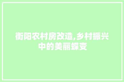 衡阳农村房改造,乡村振兴中的美丽蝶变