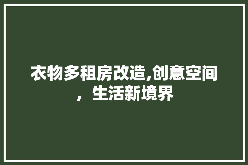 衣物多租房改造,创意空间，生活新境界