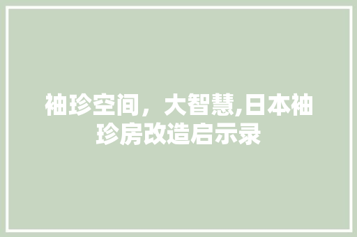 袖珍空间，大智慧,日本袖珍房改造启示录