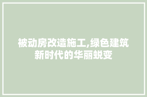 被动房改造施工,绿色建筑新时代的华丽蜕变
