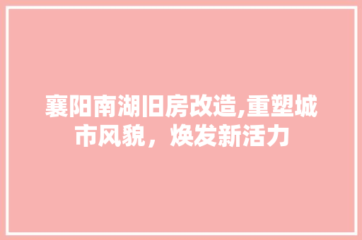 襄阳南湖旧房改造,重塑城市风貌，焕发新活力