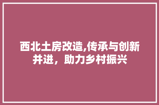 西北土房改造,传承与创新并进，助力乡村振兴